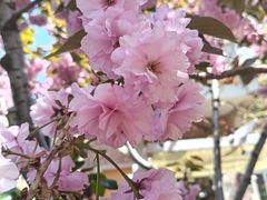-大连人民广场