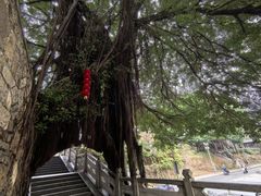 -乌山风景区