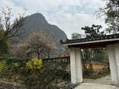 -钟山水墨田园