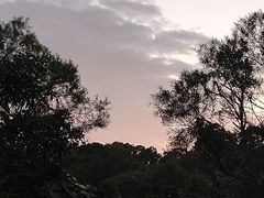 -广东惠东海龟国家级自然保护区