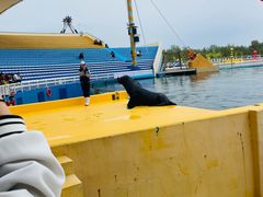 -秦皇岛乐岛海洋王国