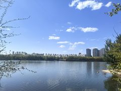-长白岛森林公园