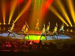 -珠海横琴长隆《卡卡虎奇遇记》