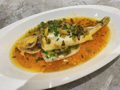 雪菜蒸黄鱼-老绍兴养和饭店(向阳不夜城店)