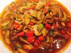 -梧桐树下(云锦世家店)