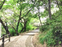 -苏州上方山国家森林公园