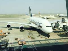-新加坡航空公司(ION)