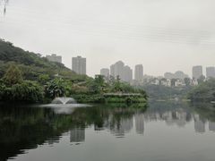 -重庆彩云湖湿地公园