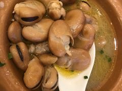 -骏莱海鲜鱼港(五角场店)