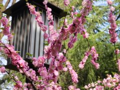 -唐城墙遗址公园