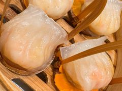 招牌虾饺皇-金鼎轩(方庄天坛店)