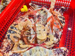 -抱德·潮汕味(琶洲店原惠城鱼仔)