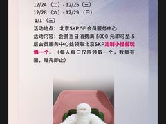 -北京SKP