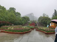 -南山植物园