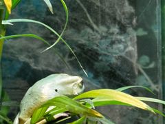 -上海大自然野生昆虫馆