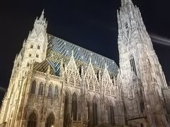 -斯蒂芬主教座堂(Stephansdom)