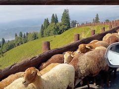 -新疆那拉提国家旅游度假区