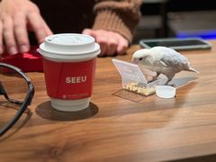 -seeu coffee(江滩店)