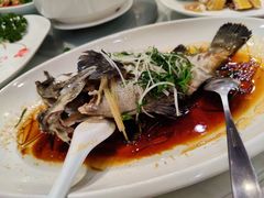 -大东海海鲜酒楼(渔人码头总店)