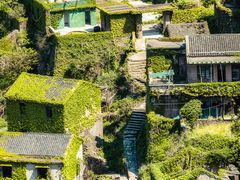 -枸杞岛