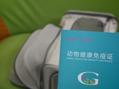 -北京观赏动物医院·24小时大型综合·猫专科·异宠专科