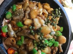 -新白鹿餐厅(城西银泰城店)