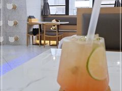 -喵园·猫主题咖啡厅·撸猫·猫咖(国贸店)