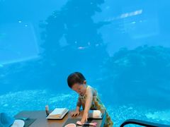 -涛·海底餐厅·美人鱼·自助餐·海底隧道(三亚海棠湾洲际度假酒店)