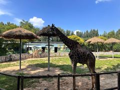 -北京野生动物园