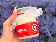 -石家庄万象城