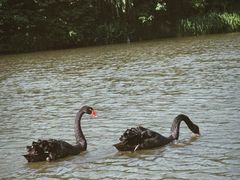 -上海月湖雕塑公园