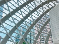 -凤凰中心