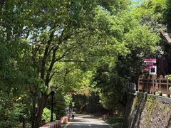 -潜山国家森林公园