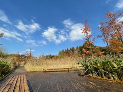 -昆山城市生态森林公园