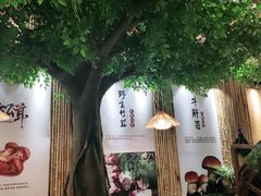 -大理董·董家小厨野生菌火锅(古城旗舰店)