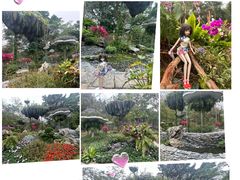 -广州市白云山风景名胜区