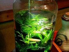 -伊藤ITO(侨福芳草地购物中心店)
