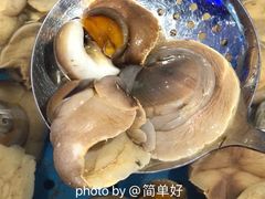 香螺-乔哥铭洋海鲜自助(皇城恒隆广场店)