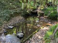 -杭州半山国家森林公园