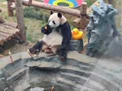 -大连森林动物园