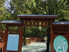 -东平国家森林公园