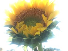 -奥林匹克森林公园南门-停车场