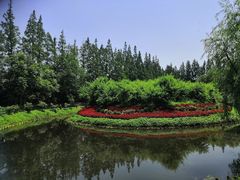 -前小桔亲子创意农场·草莓采摘·露营烧烤