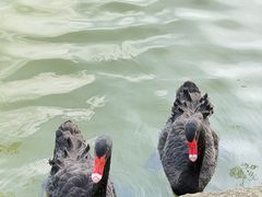 -珠海圆明新园