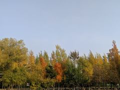 -莫子山公园