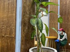 -文昌邓记清补凉(西沙路店)