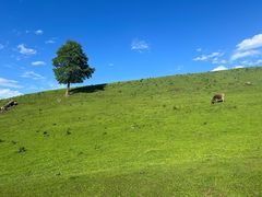 -新疆那拉提国家旅游度假区