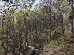 -妙峰山风景名胜区