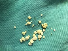 -严国平动物医院(德政总院)