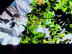 -阿鹏故事云南野生菌火锅(人民路店)